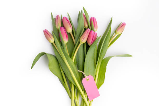 A boquet of purple tulips with a tag isolated on a white background.