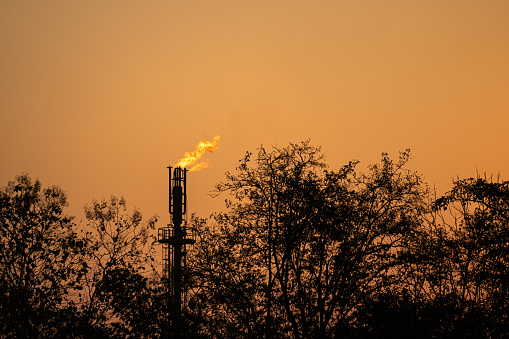 Refinery plant is burning gas at the flare tower, with silhouette shade on tree branch on foreground and orange sky as background. Industrial process scene photo.