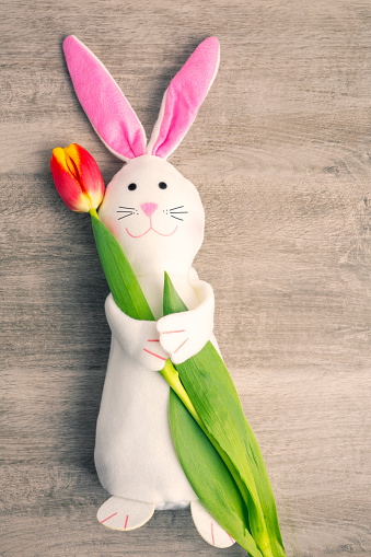 A cute toy rabbit holding a fresh cut tulip.