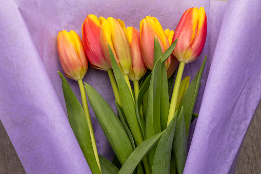 Bouquet spring tulip flowers isolated on white background