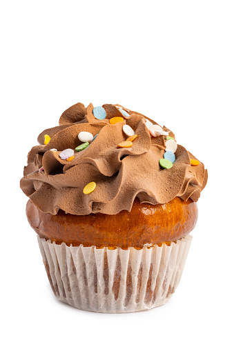 A chocolate iced cupcake on a white background.