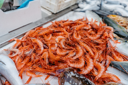 Prawns for sale at the old fish market of Catania in Sicily.