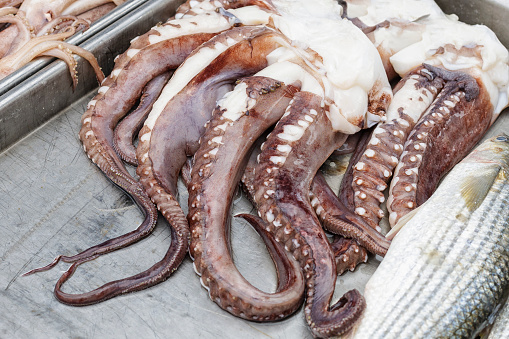 Octopus on fish street market