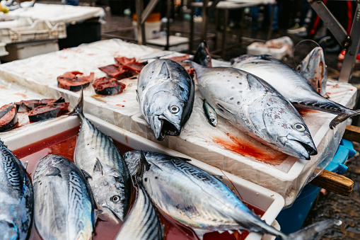 Fresh fish on a display at a fish market in Catania, Sicily.