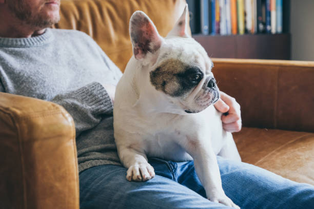 istock Man spends quiet afternoon with dog 2012850887