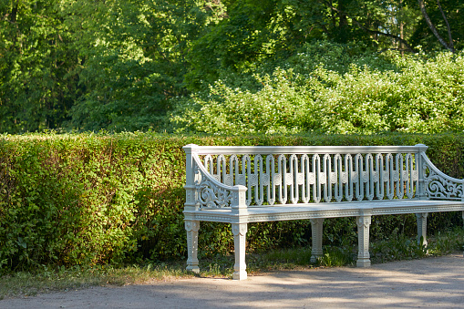 seat bench in the forest