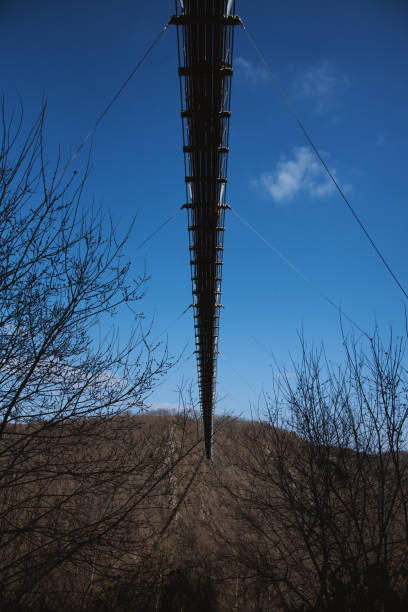 Geierlay suspension bridge in a sunny day