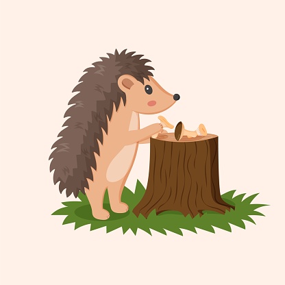 Cartoon hedgehog. Little forest animal with mushroom. Cute porcupine. Woodland urchin. Funny prickly mammal. Wildlife nature. Cute childish zoo character. Agarics on tree stump. Vector illustration