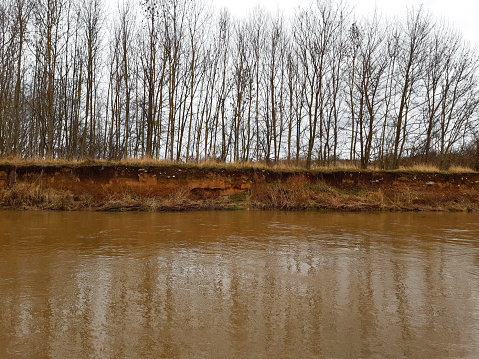 After flooding, parts of the riverbank have been taken away by the water. Steep riverbank lined with tree, muddy brown water flowing below. Bleak winter sky.
