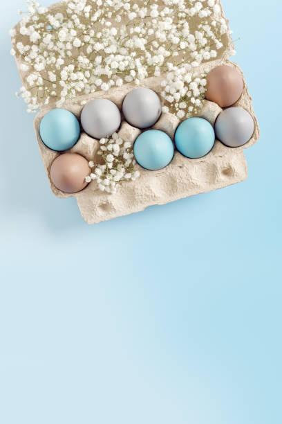 istock Pastel Easter Eggs with white Flowers in Carton box on Blue Background, top view chicken egg painted sky blue, beige colors. Easter celebration concept. Festive food, minimal still life holiday 2012883560