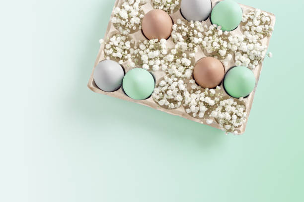 istock Pastel Easter Eggs with white Flowers in Carton box on mint Background, top view chicken egg painted turquoise beige colors. Easter celebration concept. Festive food, minimal still life holiday 2012883569