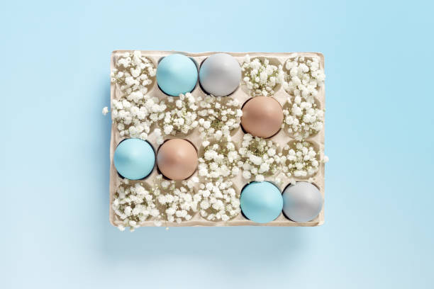 istock Easter Egg Assortment in Carton with White Baby's Breath on Light Blue Background. Pastel colored dyed eggs in package, spring holiday photo, tender soft hues, celebration food and white flowers 2012883572