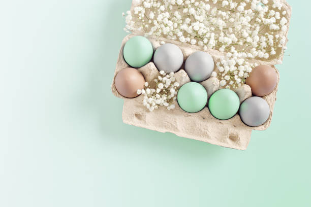 istock Pastel Easter Eggs with white Flowers in Carton box on mint Background, top view chicken egg painted turquoise beige colors. Easter celebration concept. Festive food, minimal still life holiday 2012883574