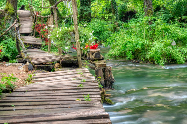 Turquoise color of water in the summer on the river Janj - Photo