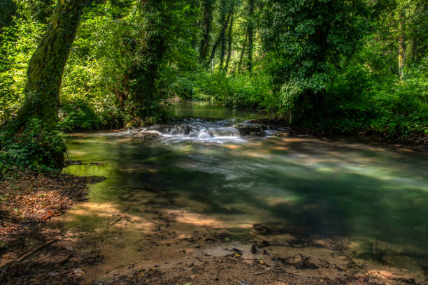 Turquoise color of water in the summer on the river Janj – Foto