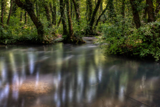 Turquoise color of water in the summer on the river Janj - Photo