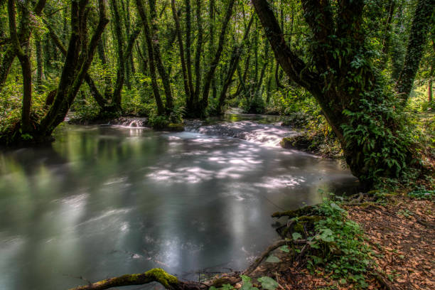 Turquoise color of water in the summer on the river Janj ストックフォト