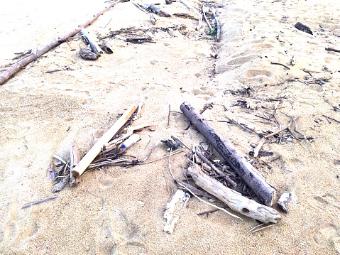 A pile of driftwood on a beach. The driftwood is made up of pieces of wood in various sizes and shapes, all of which have been smoothed and weathered by the sea.
