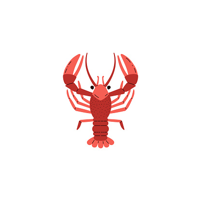 Red Cancer is a sea animal or constellation. Flat vector illustrations: crab, star pattern, seafood dish, isolated sea objects.