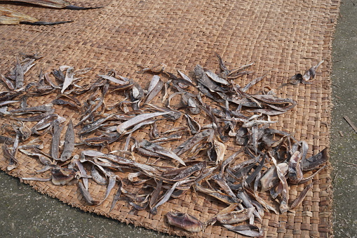 The traditional way of drying fish in Negombo, Sri Lanka