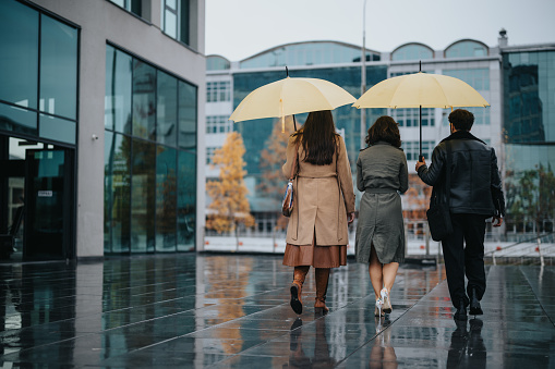 Back view of a group of friends or colleagues walking under yellow umbrellas on a wet urban sidewalk in rainy weather.
