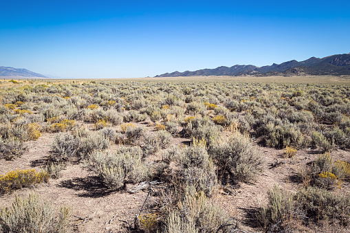 Abandonded Wyoming plain grasslands.