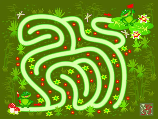 Vector illustration of Logic puzzle game with labyrinth for children and adults. Help the little frog find the way in the swamp till his friend. Printable worksheet for kids brain teaser book. IQ training test. Vector image