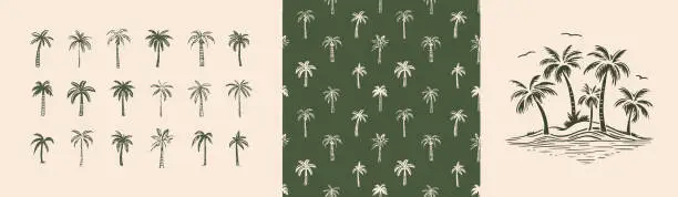 Vector illustration of Hand drawn palm tree doodle seamless pattern set