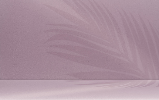 Studio Background Pink Room Display with Coconut Palm Leaves Shadow,Light on Concrete Wall with Tabletop,Backdrop Minimal Beige Banner Tropical Scene for Cosmetic product presentation on Spring,Summer