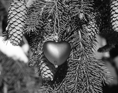 Heart ornament hanging on tree in winter