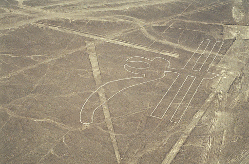 Parrot geoglyph, Nazca or Nasca mysterious lines and geoglyphs aerial view, landmark in Peru