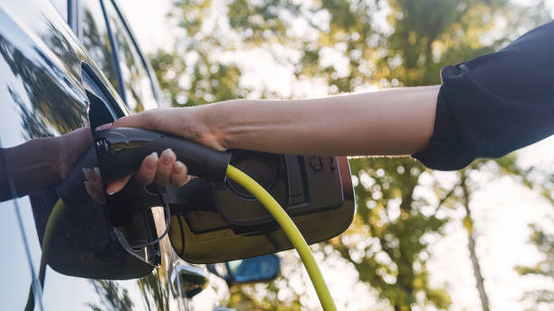 istock Hand putting a charger in an electric car, close up 2013078340