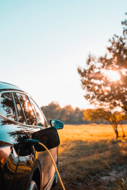 istock Power cable connected with a charger plugged into an electric car, close up 2013078557