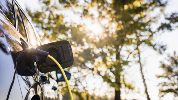 istock Power cable connected with a charger plugged into an electric car, close up 2013078879
