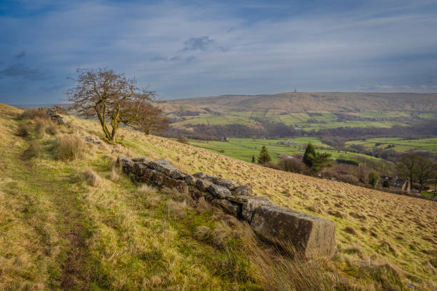 istock Grit drystone wall with tree looking to Stoodley pike 2013078970