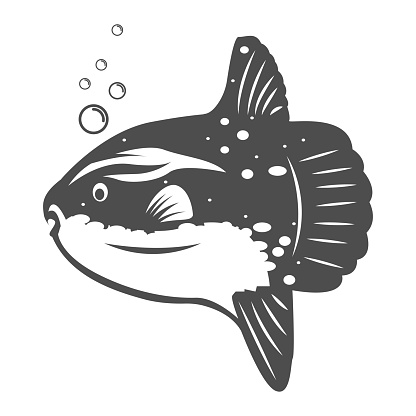 Swimming Ocean Sun Fish with Water Bubble Illustration Design Vector