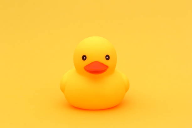 istock A yellow duck stands on a yellow background.Top view. 2013080472