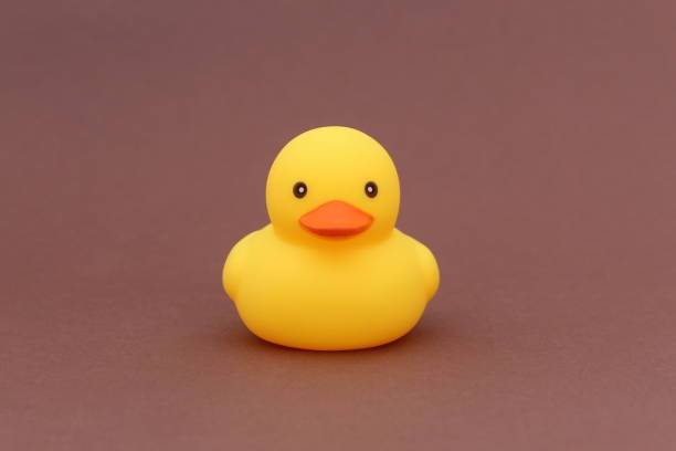 istock A yellow rubber duck stands on a brown background. 2013080541