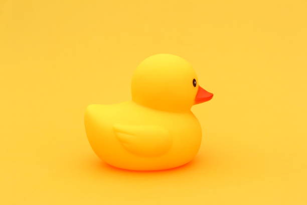 istock A yellow duck stands on a yellow background.Top view. 2013080577