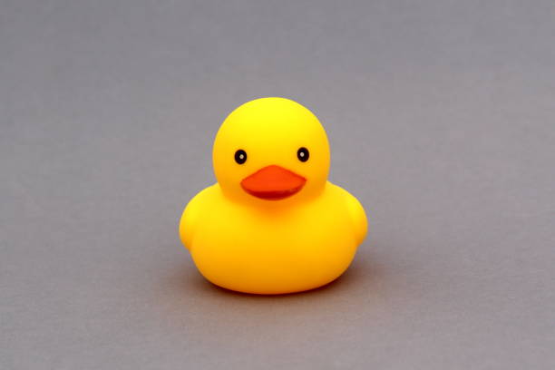 istock A yellow rubber duck toy stands on a gray background. 2013080887