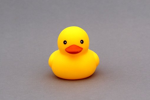 A yellow rubber duck toy stands on a gray background.