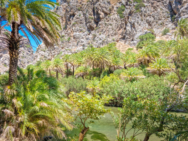 istock Preveli Lagoon in Rethimno, Crete, Greece 2013082814