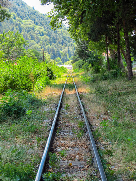 istock Small railroad and trees in the city 2013089234