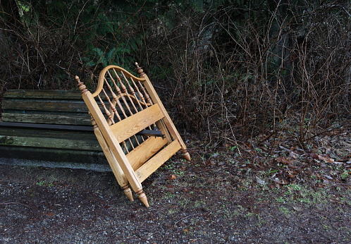 A headboard and bed frame on a bench at the edge of an urban forest in Surrey, British Columbia. Winter morning in Metro Vancouver.