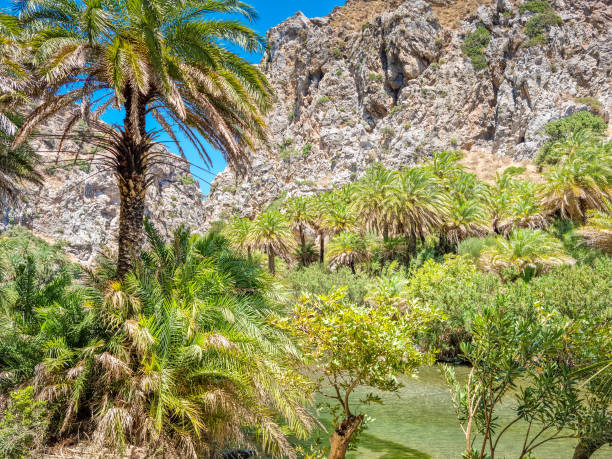 istock Preveli Lagoon in Rethimno, Crete, Greece 2013089936