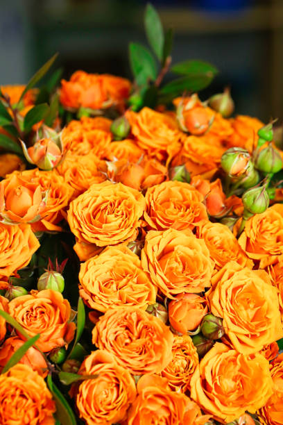 istock Vibrant Orange Rose Bouquet With Green Leaves 2013090894