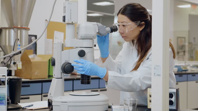 Female scientist uses microscope to examine sample
