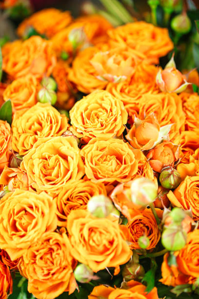 istock Orange Flowers on Table, Bright and Cheerful Decoration Idea 2013091849