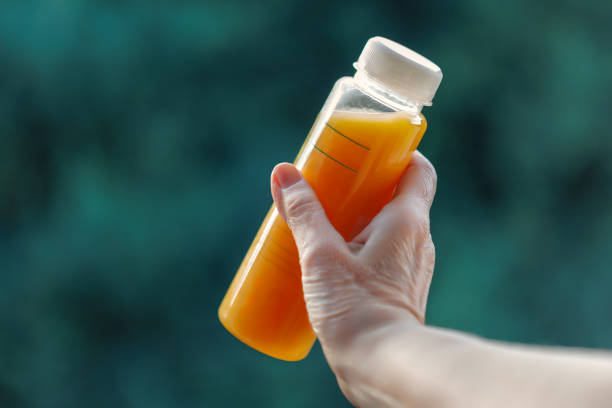 A plastic bottle with fruit juice in the hands of a woman