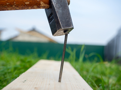 Close-up of a hammer hammering a nail into a board. Green garden in the background. Construction concept, hobby